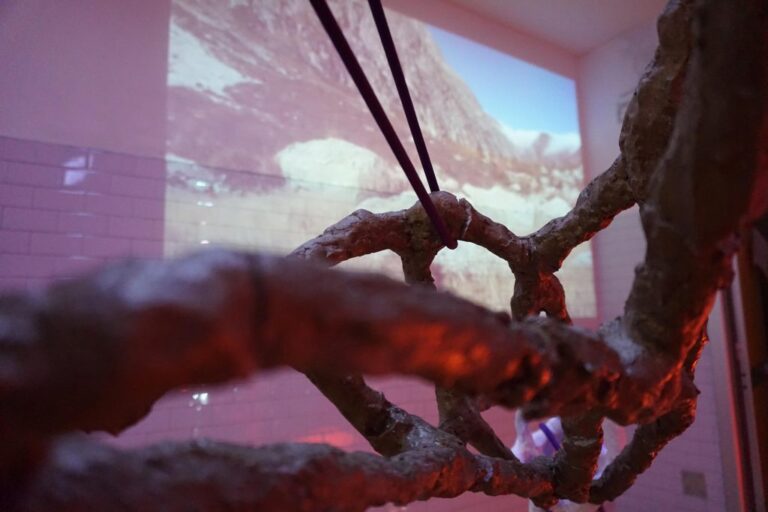 Caterina Gobbi, LIPS (Lost in Plain Sight), 2019 — installazione complessa — video ed elementi scultorei in stucco