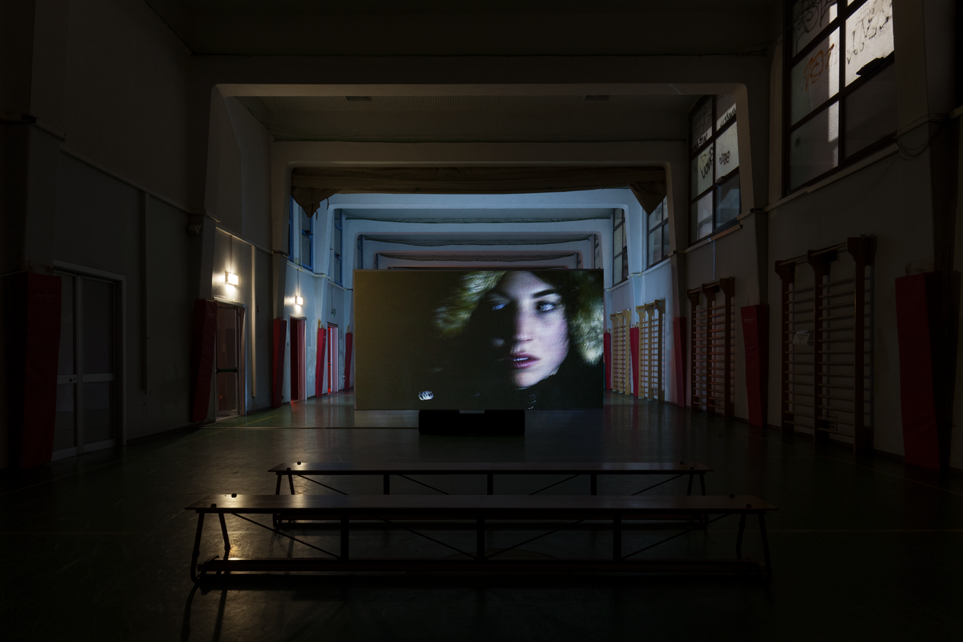 Driant Zeneli, Who was the last to have seen the Horizon, 2018 — video HD