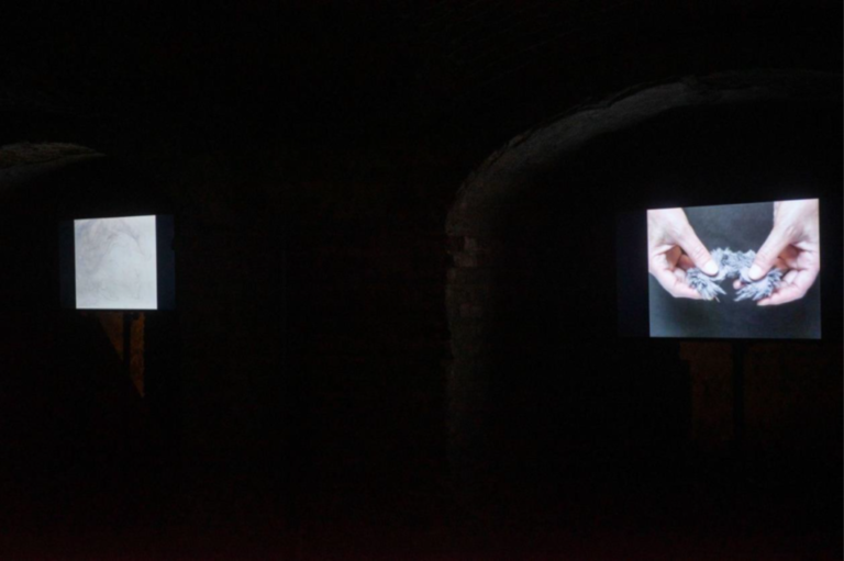 Edith Dekyndt, Martial M, 2007 — Mini DV