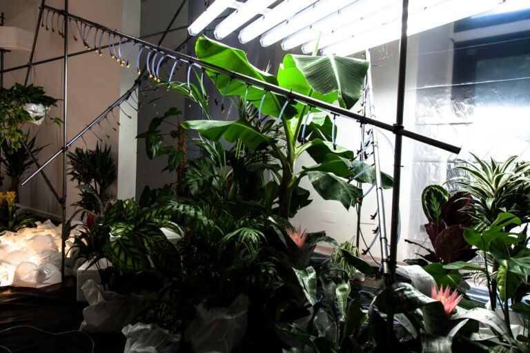Hoël Duret, NFT pH<7, 2017 — Installazione complessa