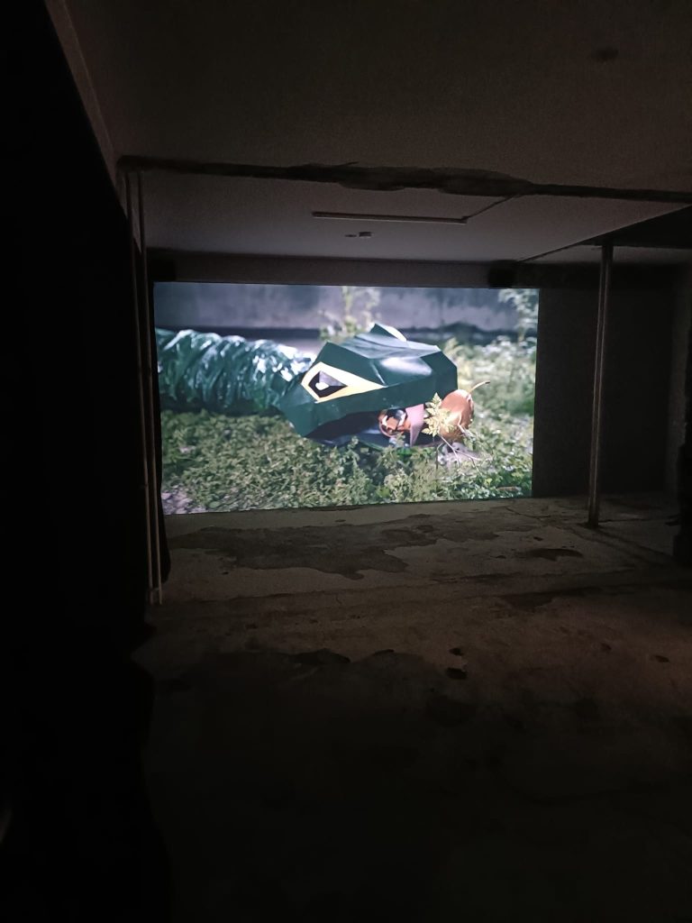 Driant Zeneli, The firefly keeps falling and the snake keeps growing, 2022 — Film 4K, colore, sound