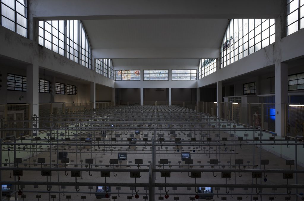 OCÉAN 33°02′47″S / 51°04′00″N
