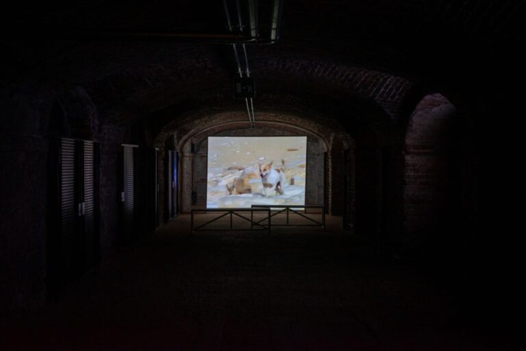 Camille Henrot, Cynopolis, 2007-2009 — Super8 e DVcam