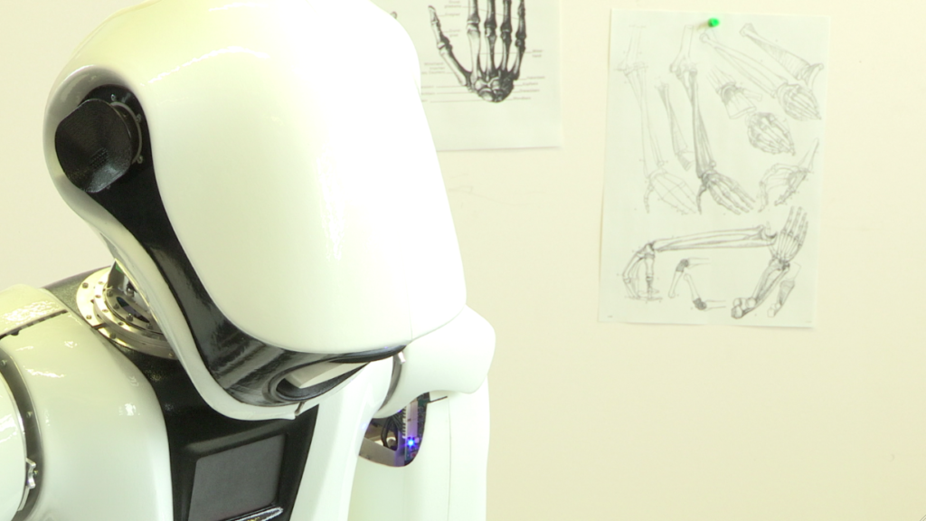 Robot