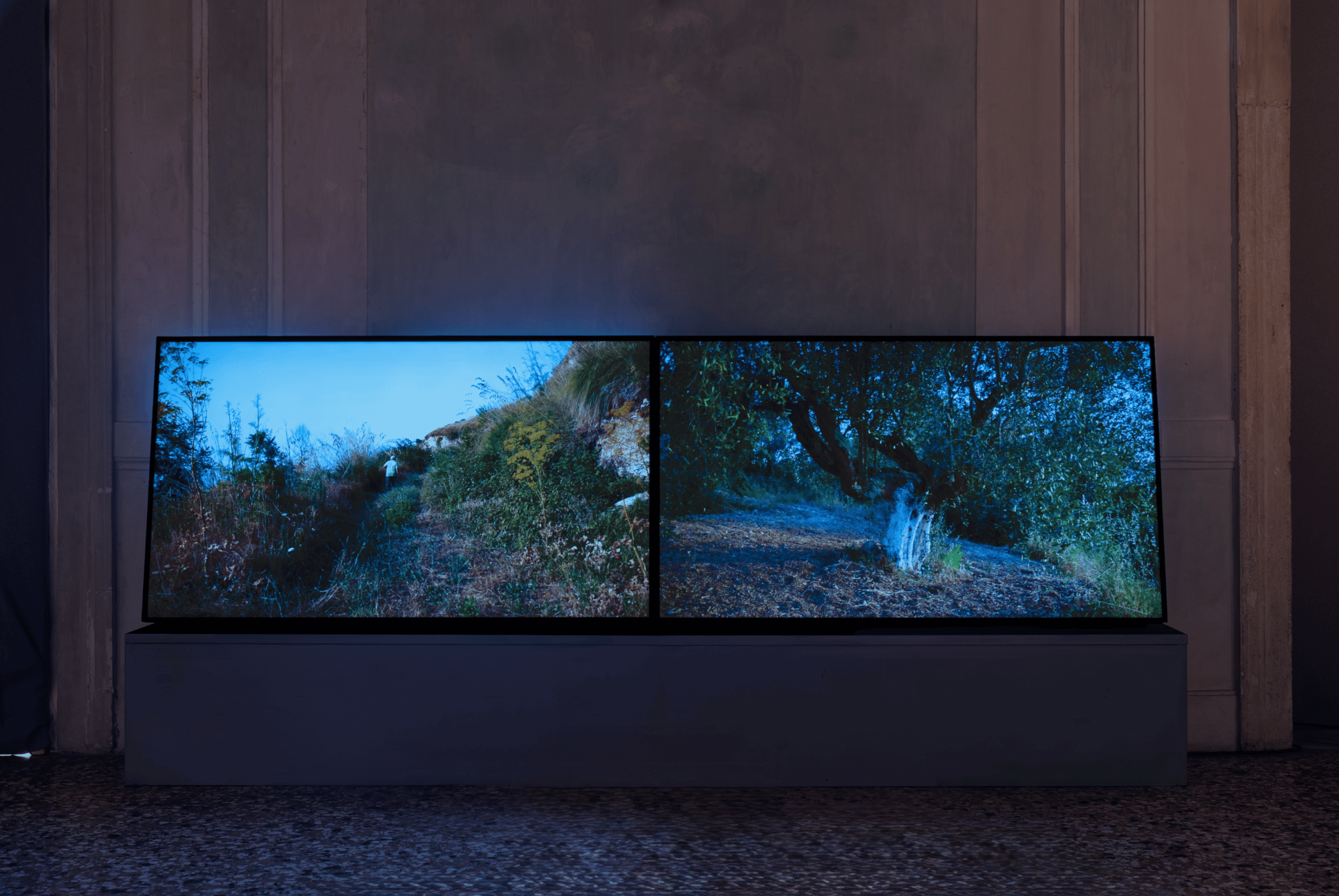 Nicoletta Grillo, Oltremare, 2025 — video a due canali, 4k UHD, suono, colore