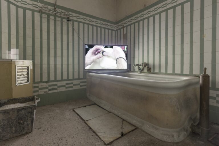 Ali Kazma, Taxidermist, 2010 — video HD from Obstructions series