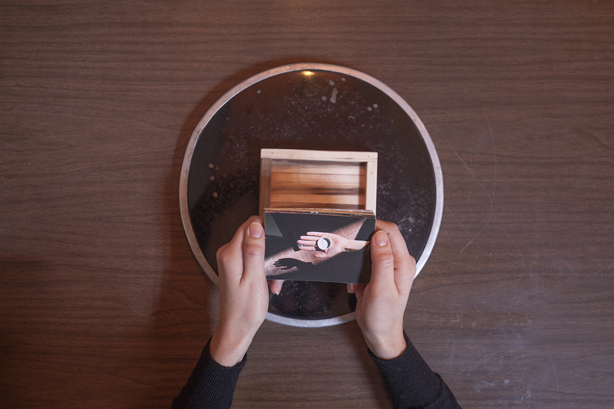 Caterina Morigi, Lux et Lucus, 2018 — Digital photograph, tree trunk snapped by a storm