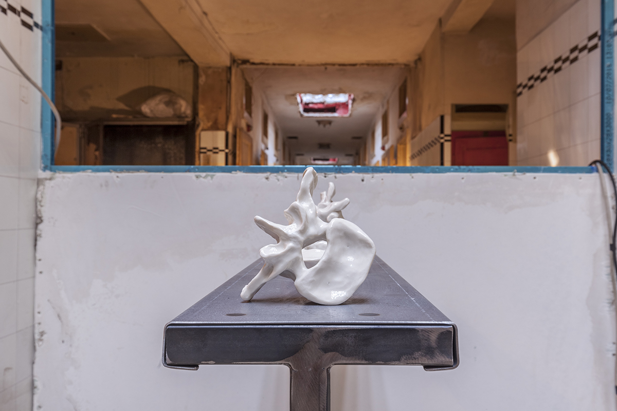 Oli Bonzanigo, I was a nervous heat, 2018 — 33 vertebrae and 2 skulls